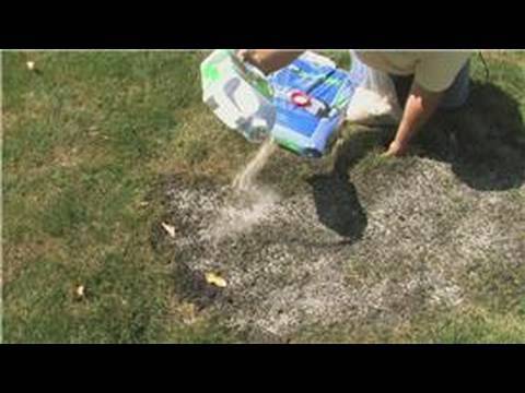 Lawn Care : How to Plant a Lawn With Seed - YouTube