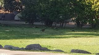 Parcela de Agrado Olmué - Conectado a la naturaleza