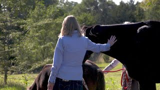 The Animal Whisperer and More | Nebraska Stories | Nebraska Public Media
