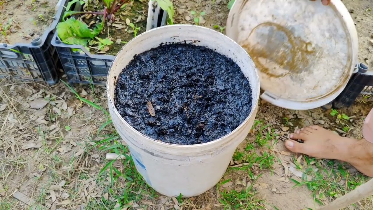Your Plants Will THANK You! Build 1000-Year Microbe-Rich Soil Now!