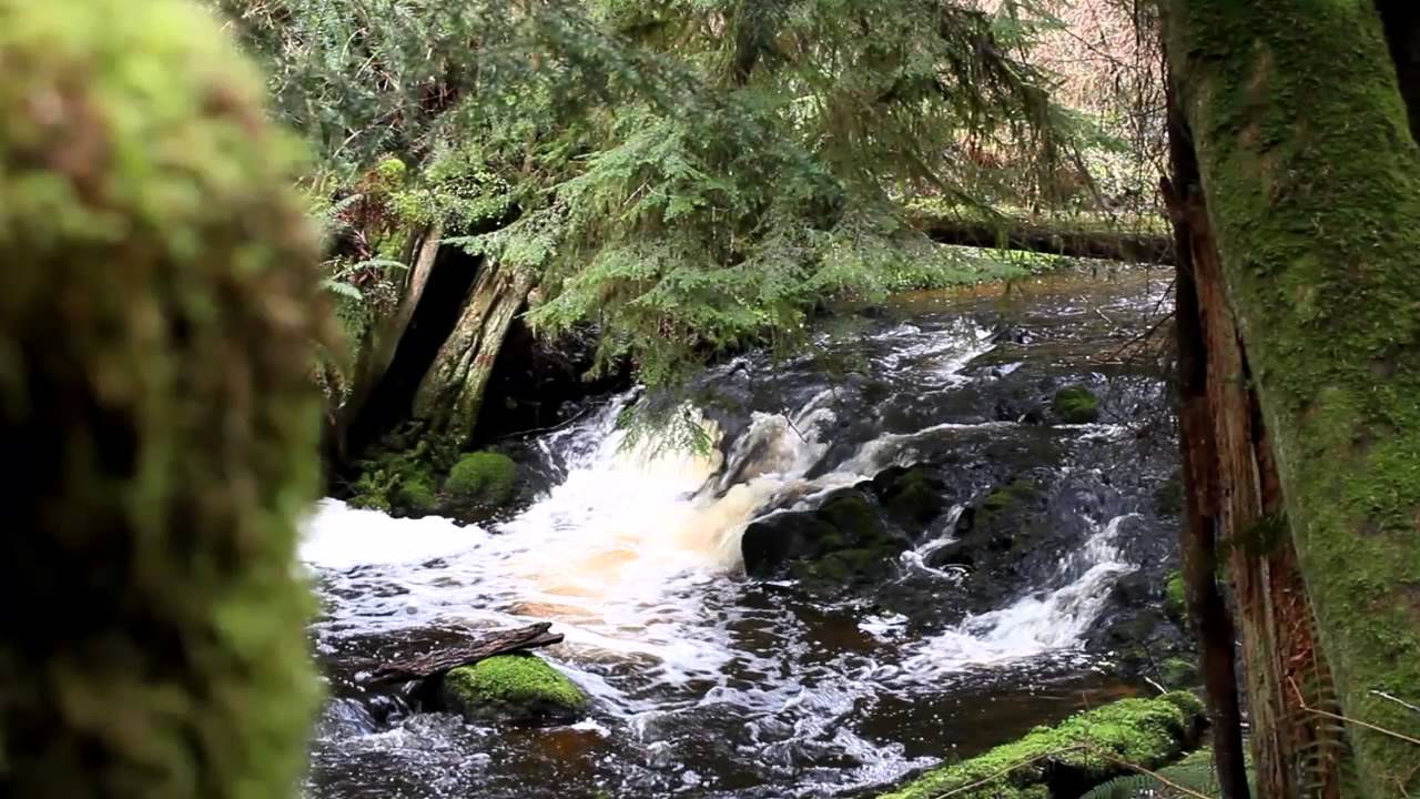 Port Ludlow Falls Lifestyle YouTube