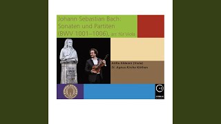Partita Nr. 2 in d-Moll, BWV 1004: 5. Ciaccona