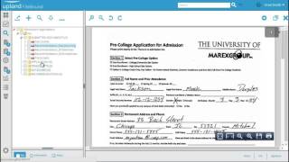 Drag And Drop A Document In The Web Viewer