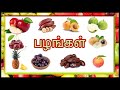 Fruits name  for kids in tamil  easy learning     