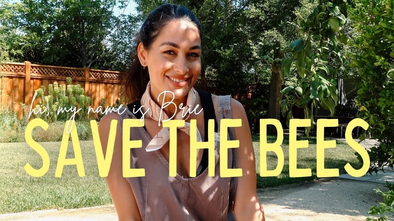 Save the Bees with Me 🐝🌻 Brie’s Pollinator-Friendly Garden Tour | Hi, My Name Is Brie!