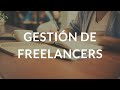 Gestión de Freelancers y Consultores