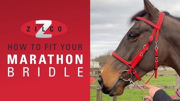 How to correctly fit your Zilco Marathon Bridle and convert from Bridle to Halter
