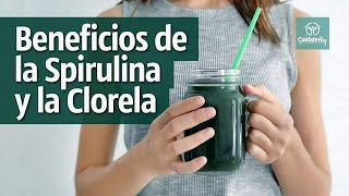 Beneficios de la espirulina y la clorela