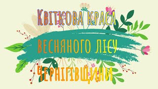 Квіткова краса Чернігівщини