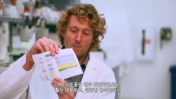 R&D Transfection Insights - 한국어