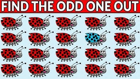 Find the Odd One Out - Cute Bugs Brain Games Challenge