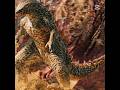 Godzilla edit