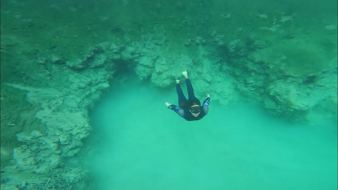 withlacoochee river spring hunting YouTube