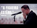 PASTOR ALBÉRICO INÁCIO - "A Figueira Estéril