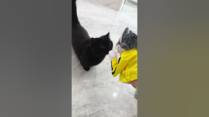 原来这就是“吓一激灵” #猫咪 #萌宠