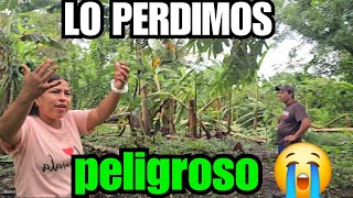 🔺️DIOS MIO LA FINCA QUEDO TODA DESTRUIDA QUE TRISTEZA 😢 PERDIMOS TODO 😭