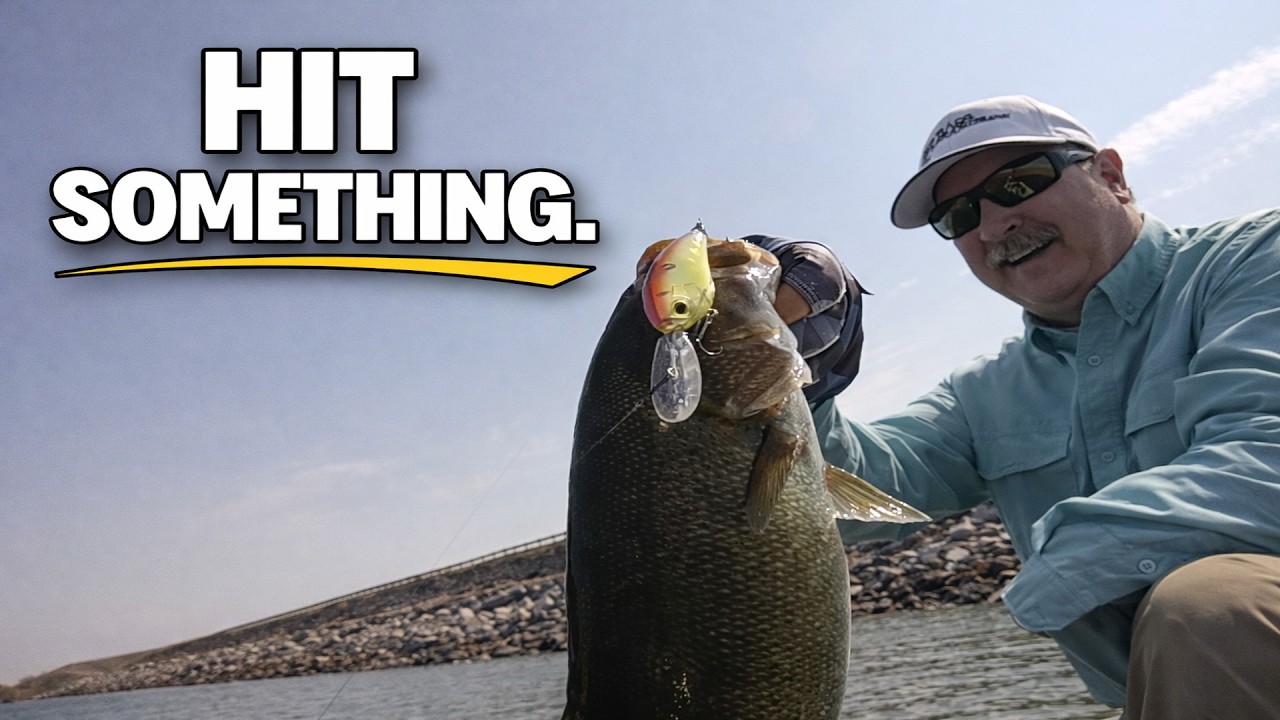 How to Catch More Bass Cranking in Summer