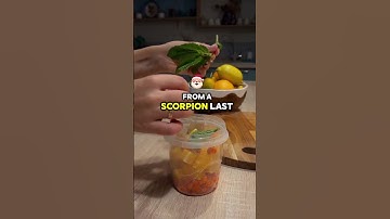 Combat engineers, what