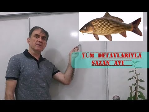 Video: Crucian Sazan Nasıl Yakalanır