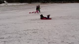 Trim 2B7633A3 479F 4287 Afd5 5E1Dc940B9Ed