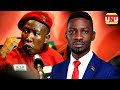 South African Party President, Julius Malema comes in to help Bobi Wine in Elections