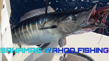 High Speed Trolling For Wahoo - BAHAMAS - Wahoo Fishing