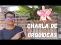 Charla de orquídeas #5 - Terapias de Recuperación de Orquídeas