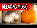 RELAXING MUSIC, STRESS RELIEF DEEP SLEEP WITH CATS