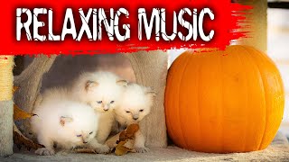 RELAXING MUSIC, STRESS RELIEF DEEP SLEEP WITH CATS