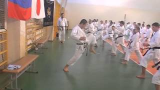 Kizami Mae Geri Push Hips