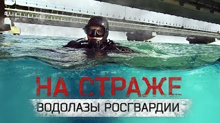 На страже Крымского моста | Водолазы Росгвардии