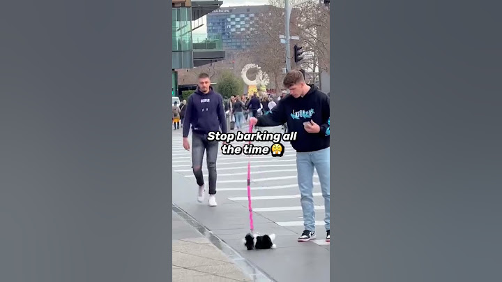 KICKING A FAKE DOG OFF A BRIDGE PRANK! 😂 #shorts