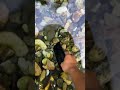 Trending water lack video #mrbeast #motiongraphics #omori #unfrezzmyaccount #videoediting #viral