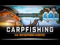 Ловля КАРПОВ на Янтарном озере — Русская Рыбалка 4