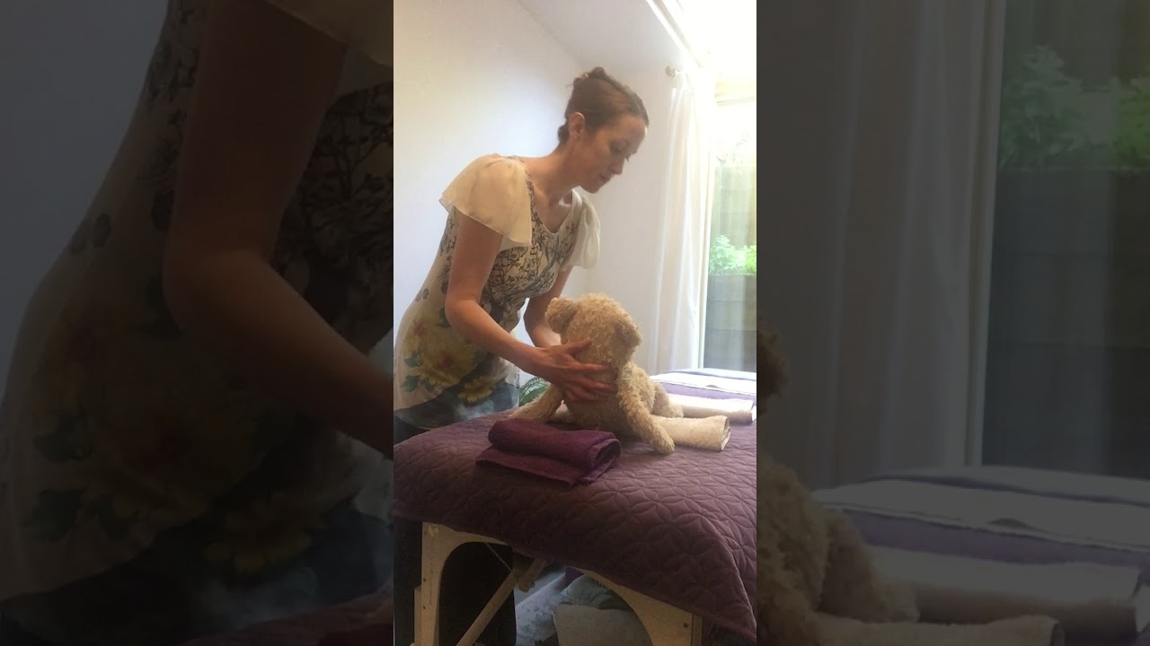3 Prepare ted for legs and feet - YouTube