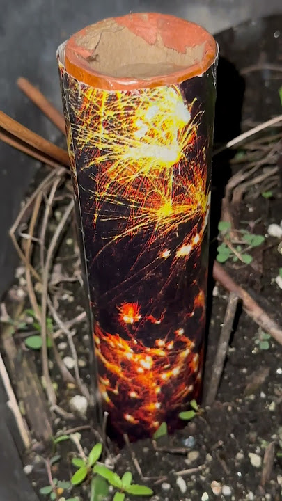 Vintage fireworks demo🧨🎇DOT Class C 1 Shot Tube Crackling Willow 1984 “CACTUS RAIN” NO BRAND INTL’