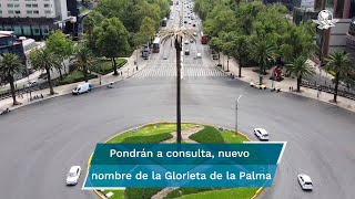 Dirán adiós a la Palma de Paseo de la Reforma