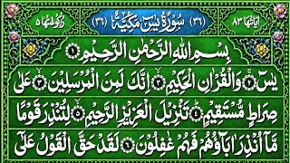 Surah Yaseen Surah Ar Rahman | Best Qur'an Recitation | Surah Yasin Tilawat | Yaseen Shareef 