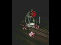 حالات واتس اب هاني شاكر مجرد وقت