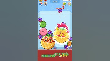 Watermelon juicy drop 🍉 fruit merge game