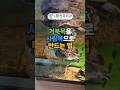 대구 거북목 도수치료병원 찾고 계신가요?일단 집에서 스스로 해결해보세요. 서부통 화이통#대구신경외과 #대구도수치료 #대구체외충격파 #대구거북목 #대구거북목도수 #대구정형외과