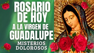 ROSARIO DE HOY VIERNES 17  DE MAYO 2024 A la Virgen de Guadalupe