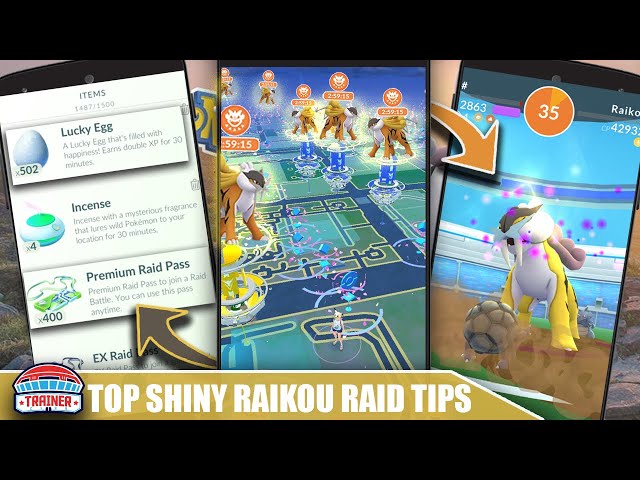 TOP 5 TIPS for SHINY RAIKOU DAY!! MAX RAID QUANTITY, STARDUST, LUCKIES & XP  RAIDS