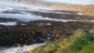 Croyde sea snow foam storm Freya 3rd March 2019