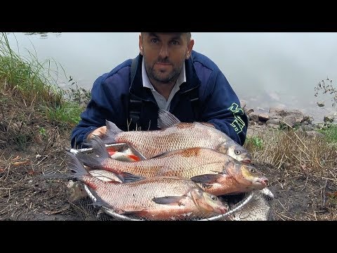Wideo: Zmutowane ryby w naszych rzekach