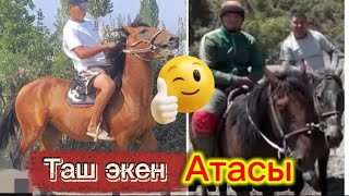 картинка: Таш дейтко коргулочу