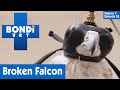 🐦 This Falcon Cannot Fly Straight | FULL EPISODE | S07E03 | Bondi Vet