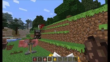 Minecraft Snapshot - 12w01a