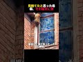 見捨てたと思った母猫、その結末に涙#感動 #母の愛 #救出劇 #涙腺崩壊#猫のいる暮らしのサムネイル