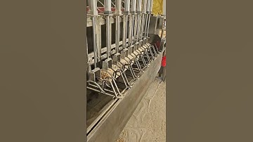 Cutting bamboo chopsticks   efficient machinery to increase production capacity